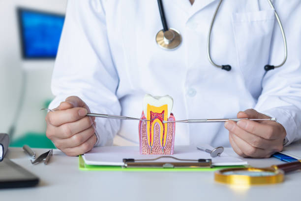 Best Emergency Broken Tooth Repair in Lake Lure, NC